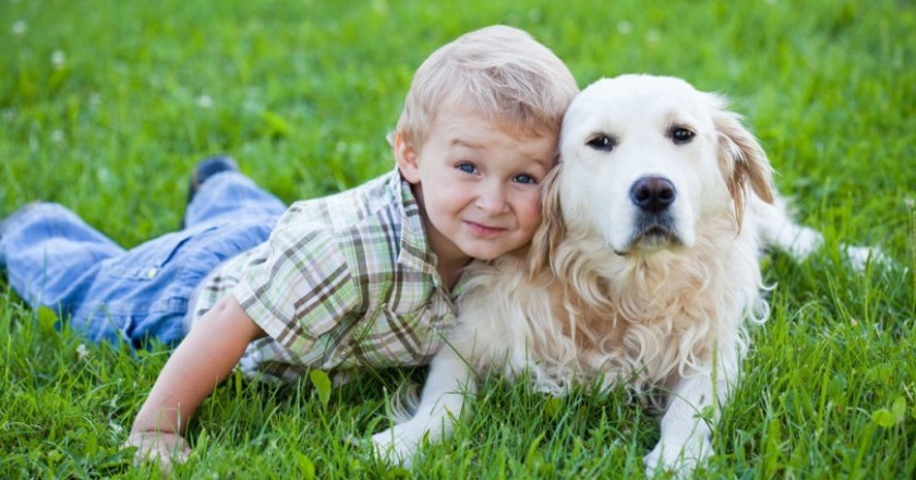 En Akıllı Köpek Cinsleri